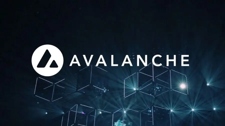 Ava Labs: На нас не скажется крах биржи FTX Ava Labs: На нас не скажется крах биржи FTX