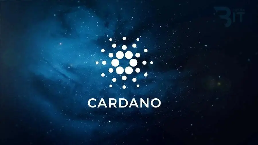 Количество крупных держателей Cardano растет Количество крупных держателей Cardano растет