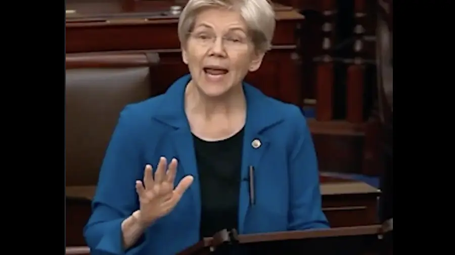 Элизабет Уоррен: Илон Маск стремится к контролю над финансами США Элизабет Уоррен: Илон Маск стремится к контролю над финансами США