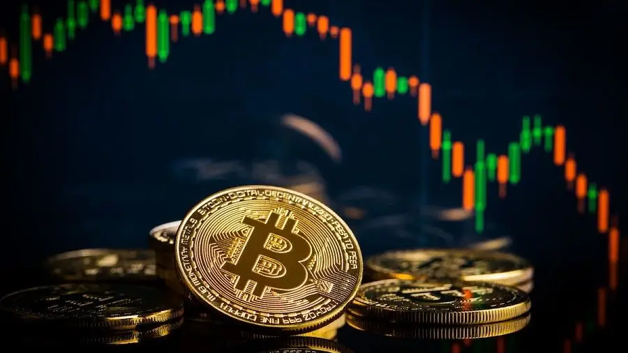 Партнер Pantera Capital: «покупайте биткоин, но диверсифицируйте риски» Партнер Pantera Capital: «покупайте биткоин, но диверсифицируйте риски»