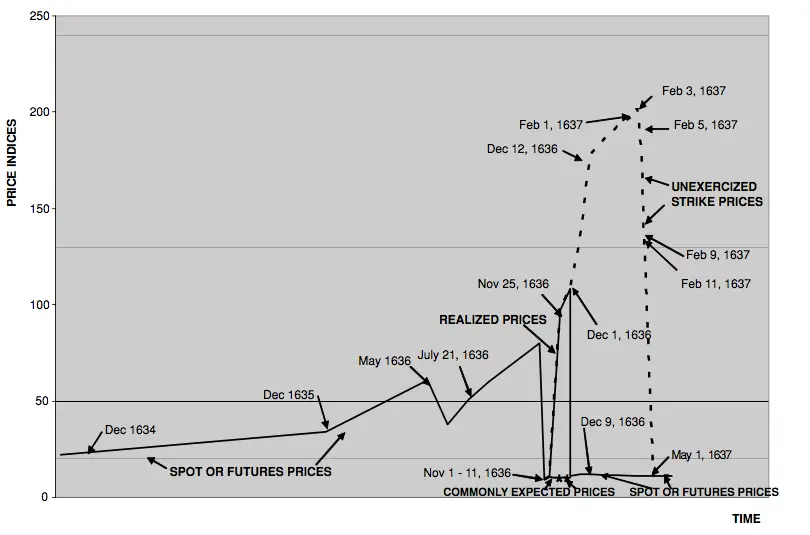 тюльпановый пузырь 3