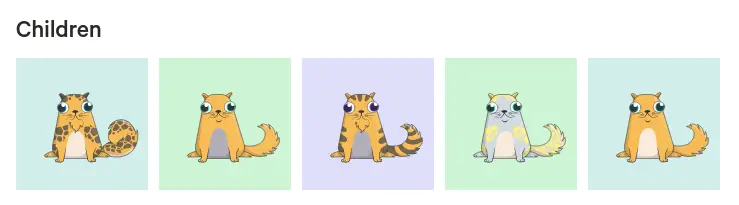 криптокотята