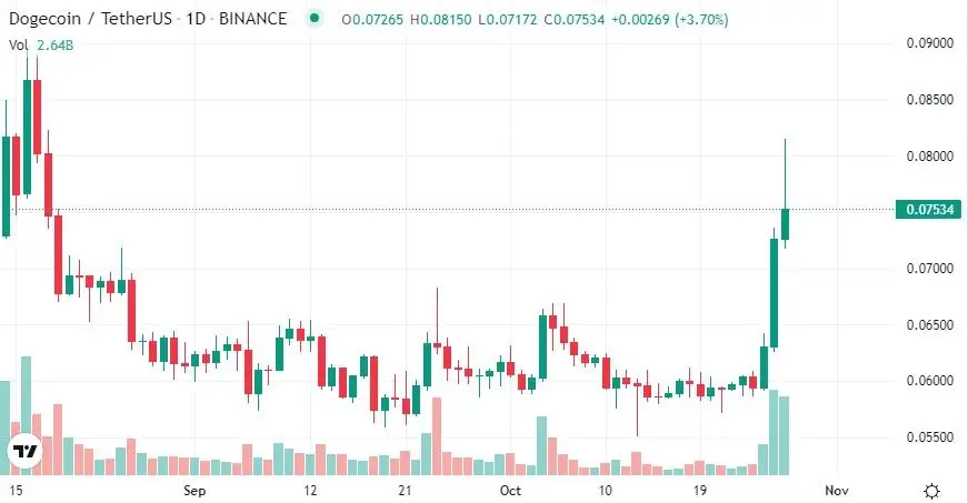 271022_DOGE.jpg 271022_DOGE.jpg