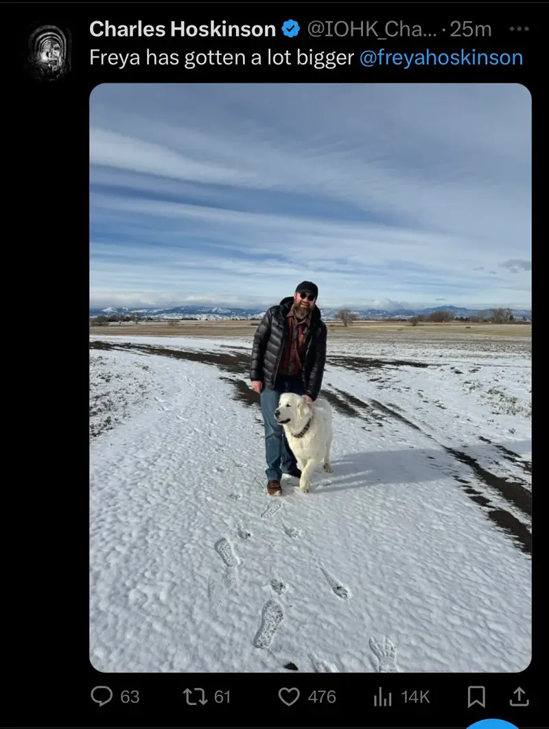 твит-Хоскинсона.png твит-Хоскинсона.png