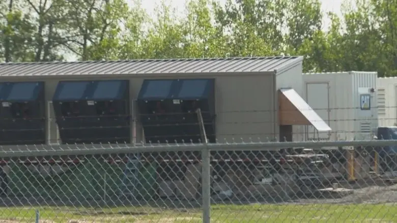 illegal mining canada.jpg