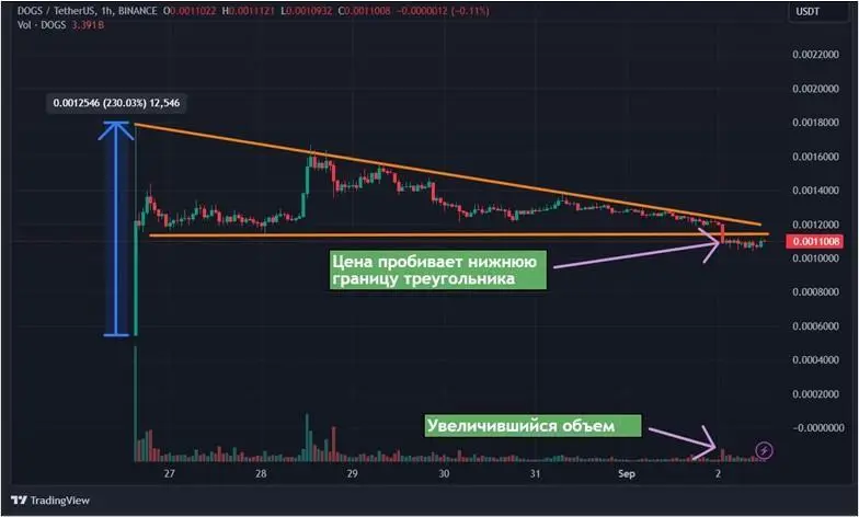 0209202401.jpg 0209202401.jpg