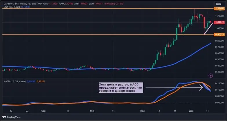 13122411.jpg 13122411.jpg