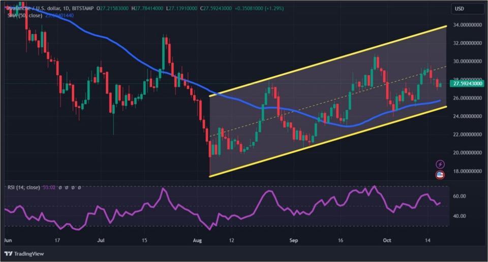 1810202408.jpg 1810202408.jpg