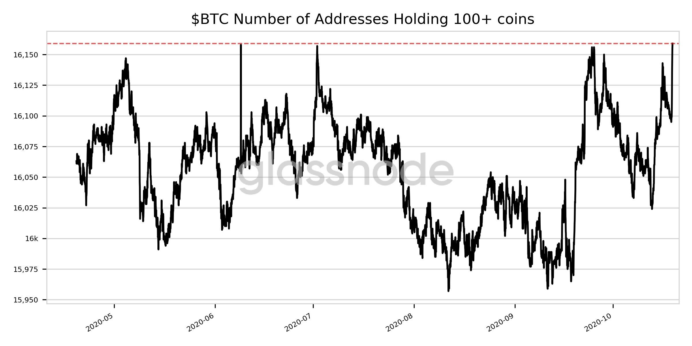 btc 100+.jpg